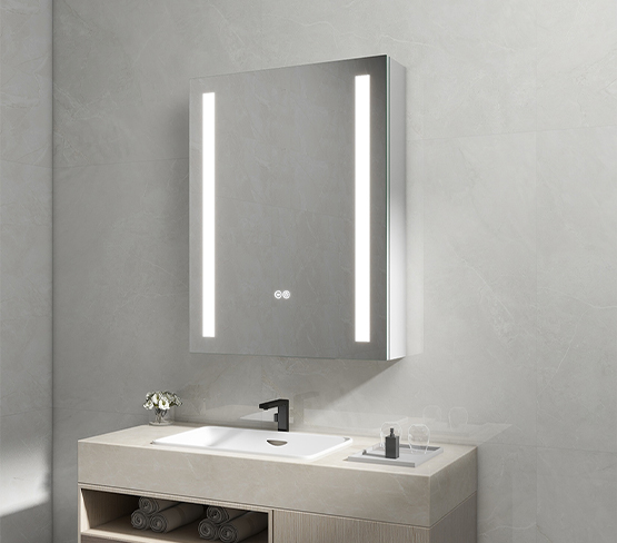 Surface and Recessed Mount Mirror Cabinet