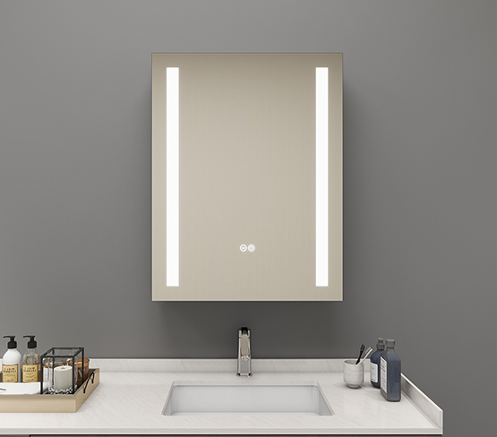 Surface and Recessed Mount Mirror Cabinet